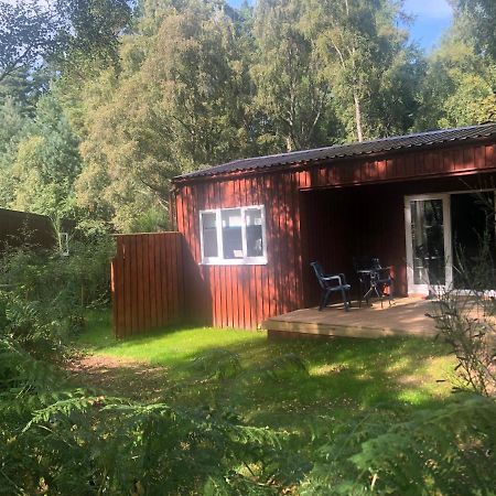The South Cabin At Easter Arr Нэрн Экстерьер фото
